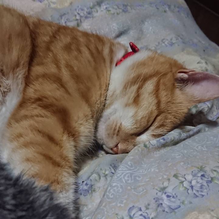 8310b8d3 279a 4a0a bf0e cf87e4d11c78 1579614401326