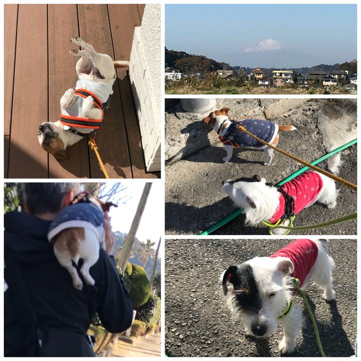 8310e0c1 df56 44ab af86 f9fe8bf809ec 1512272341849