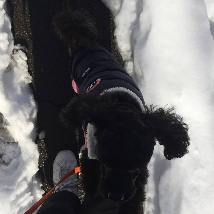 83111ccf 1e91 4714 9e3c b1014353805f 1516690861947