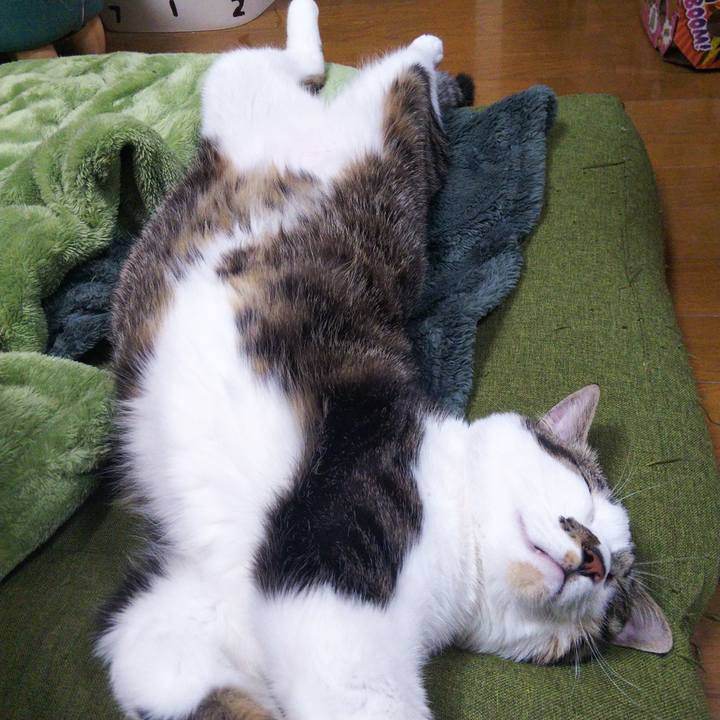 8311414e d130 40ff 9f67 cabd9cce9056 1639290695706