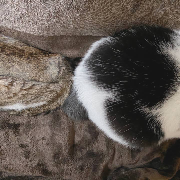 831183b1 0e10 41b1 a716 2eb6389dd9c3 1579604999663