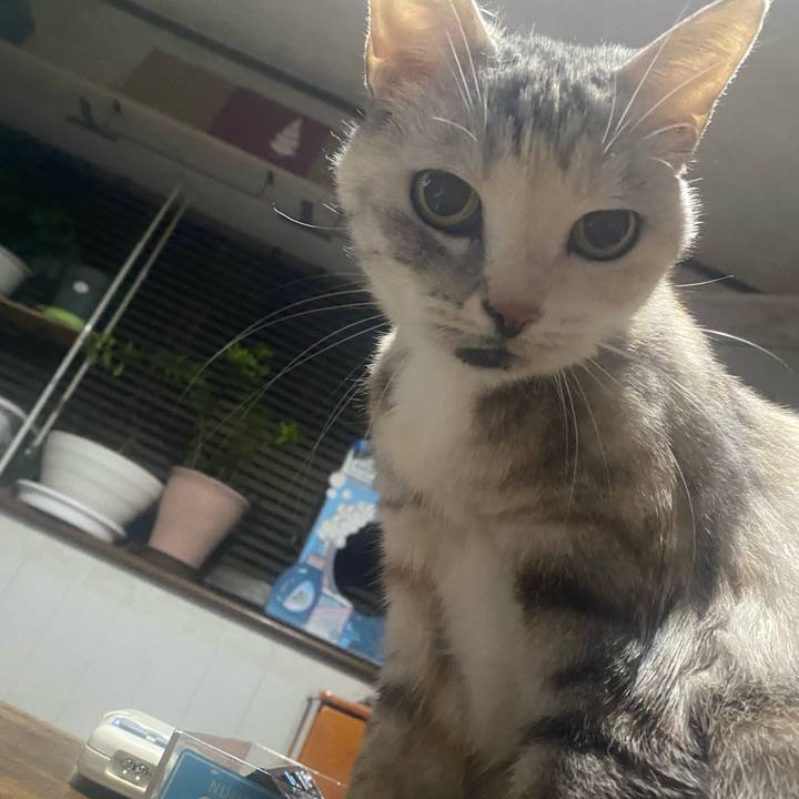 831194c1 4a40 4539 a37e bfa445bca0e9 1763386341314