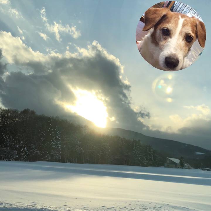 83123972 9a11 4323 a286 87ff82be046d 1548244683573