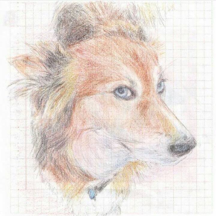 831259ed 196d 4401 a27b d681b8851c9f 1547703587112