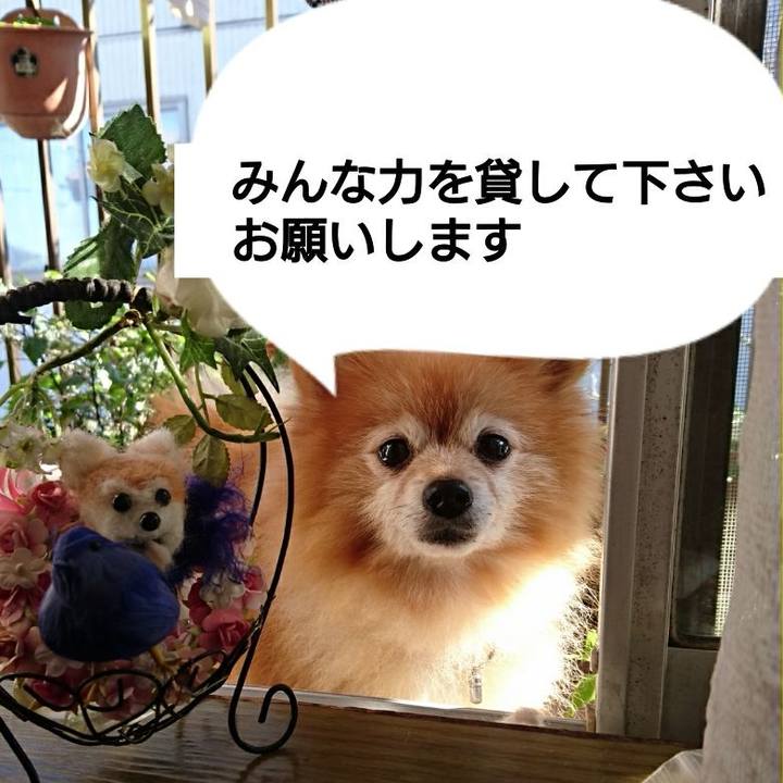 83127eaa e2e4 4b28 b831 2799336401cc 1509674557784