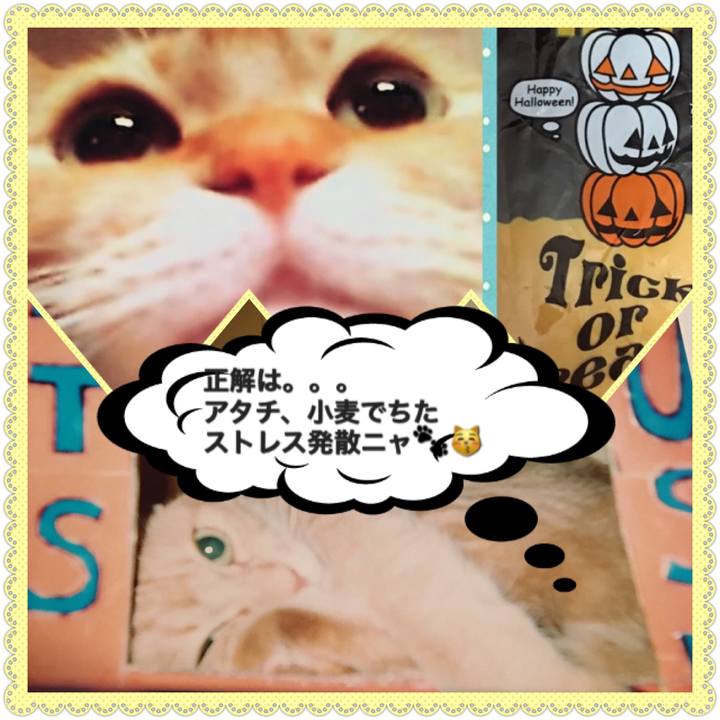 83129715 66ab 48c7 b5a4 1ace4cc8de29 1509200760949