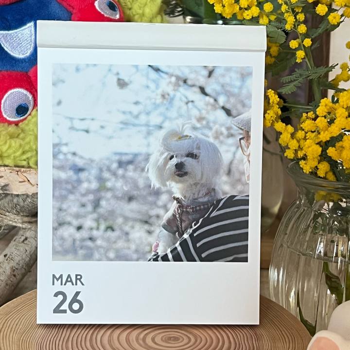 8312b865 562e 4c8d b018 5fc5073a1be5 1774587886277