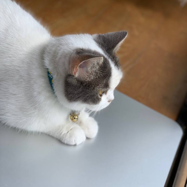 8312f848 6461 48a8 8c6f 803912001be4 1635695261904