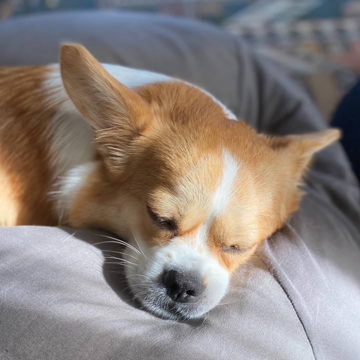 83133072 9d12 4158 8eb7 807436ac3dca 1598683348991