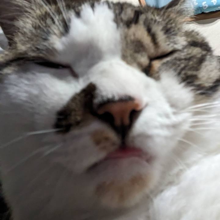 83133142 73de 4907 b275 a09e637d78c7 1697026240332