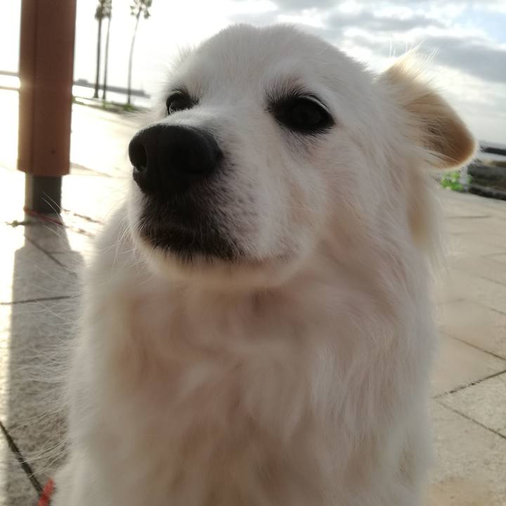 83133a15 3678 4564 88b4 a87ef94ef560 1520294315775