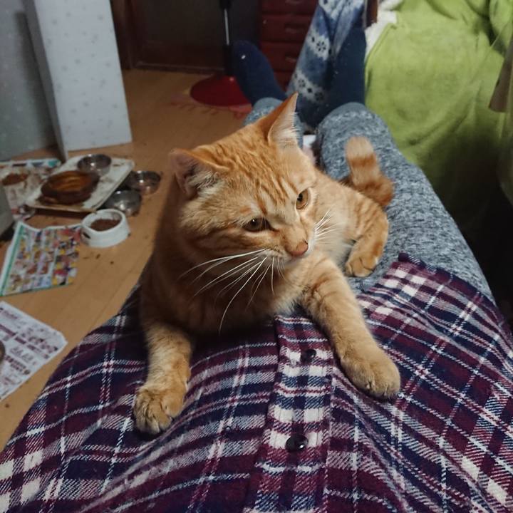 83135c27 6a07 406c 94d8 7aa82cf4fec9 1648974242459