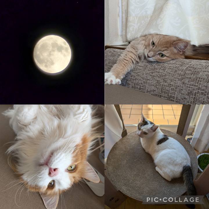 8313617b 446d 4bff ab72 45ab5c7d8c71 1726583351781