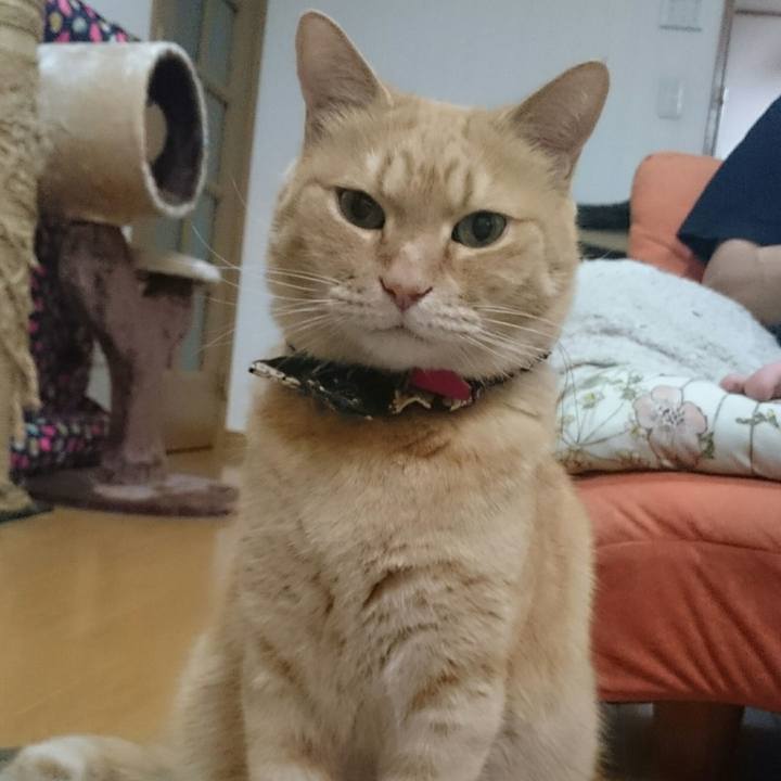 8313aa64 b5cf 4e86 b4c6 5c2e97ff51ba 1526211769964