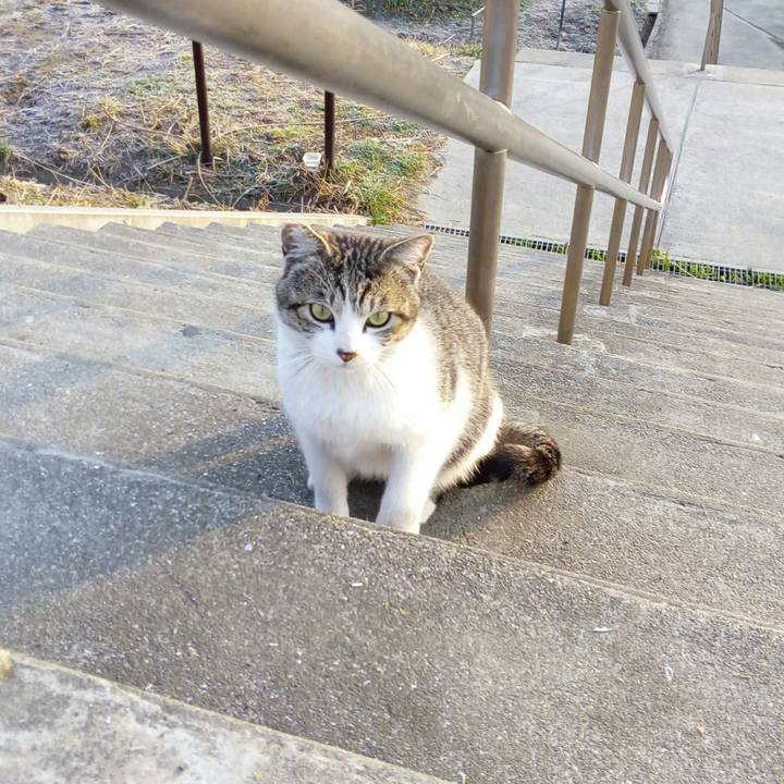 8313dd87 1c05 4dd9 88ae 950a7d07daa0 1519431291165