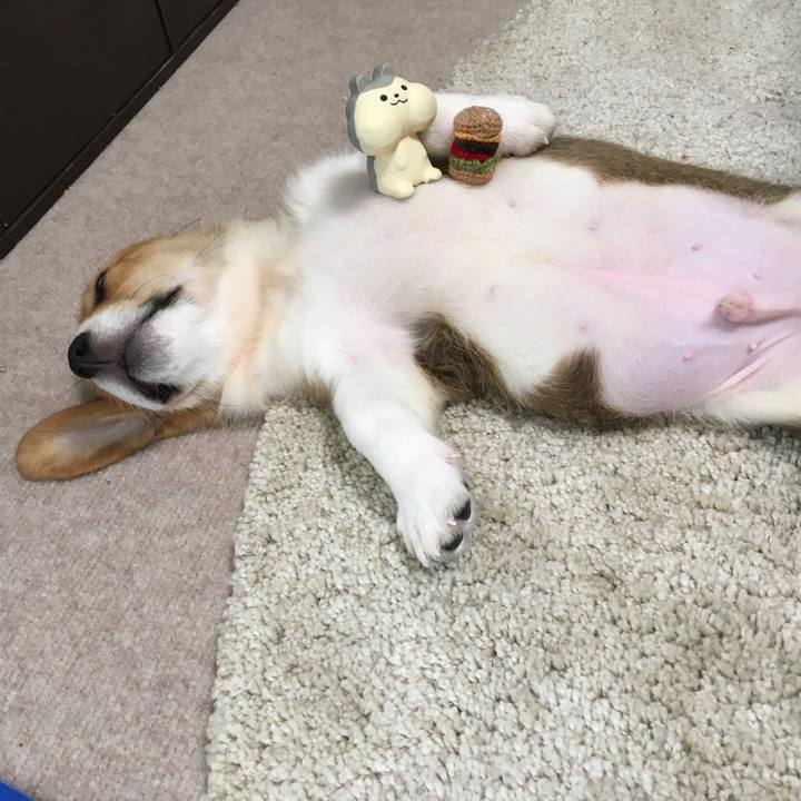 8313e5e5 5a39 416a a154 ad5cc3cbae89 1589762028219