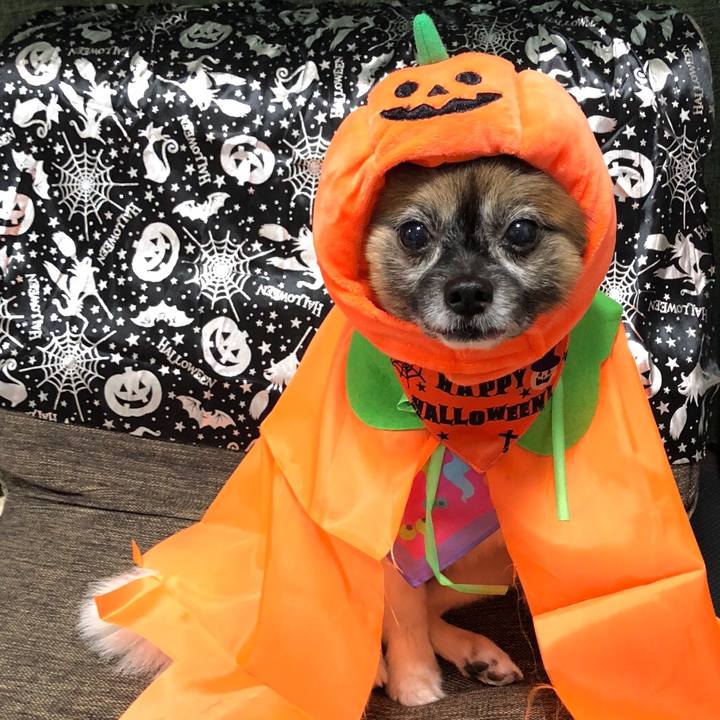 8313f887 afb5 4776 ae81 d6c5262fd527 1540969835387