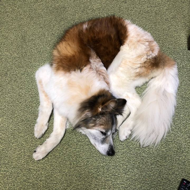 8313fcac 66f5 49e8 aa87 6a9bd36f6092 1555499026097