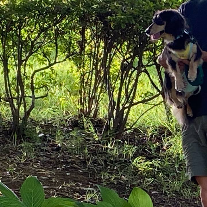 8313ff86 bfc8 430c 8c3b 8008a39d1c23 1690927480355