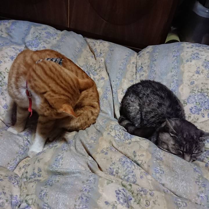 83141970 0a6b 4738 b3a1 eafb36ca13ca 1573386074296