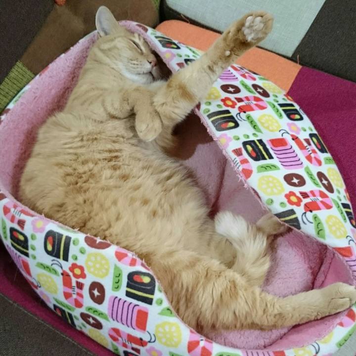 83141b25 2165 44c6 84a1 78a1406c34dd 1559741664255