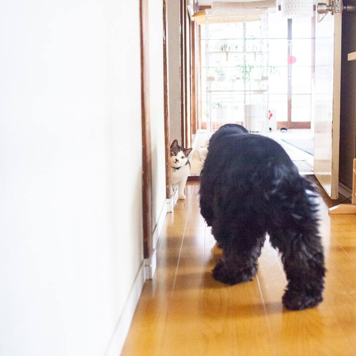 83143fc5 1e58 430e 9b7d 801dce07b0af 1554177539332