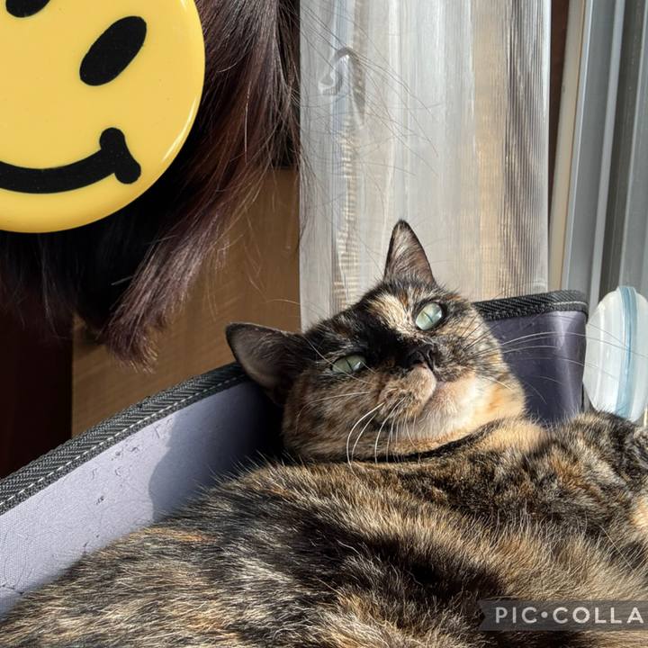 831453be 561d 49d3 9d77 f0b4be8deb88 1767859972564