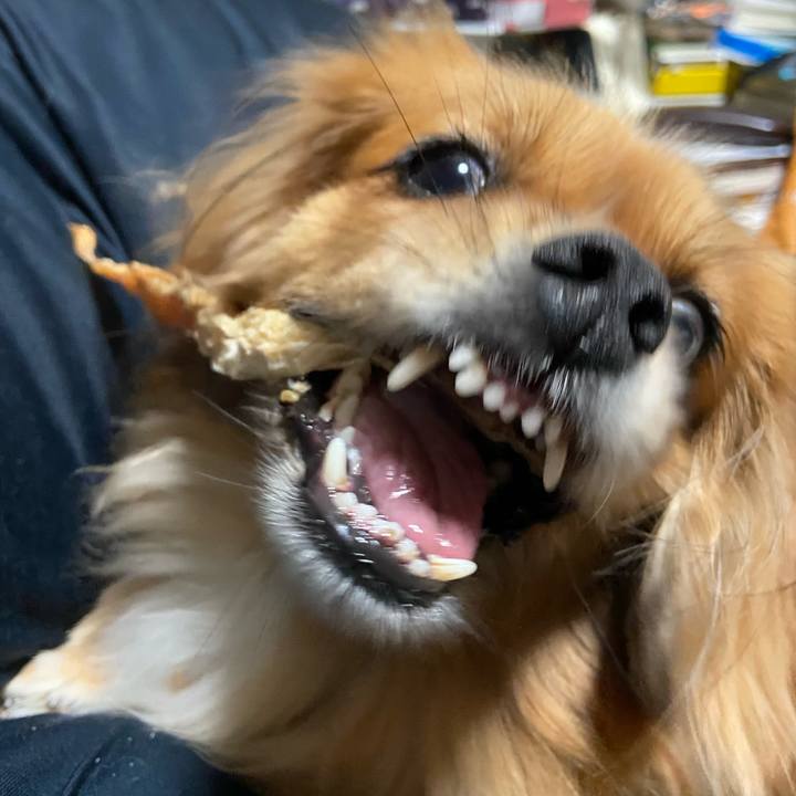 831497bd 536d 48bc 9016 ea5be5e9f366 1602711516187