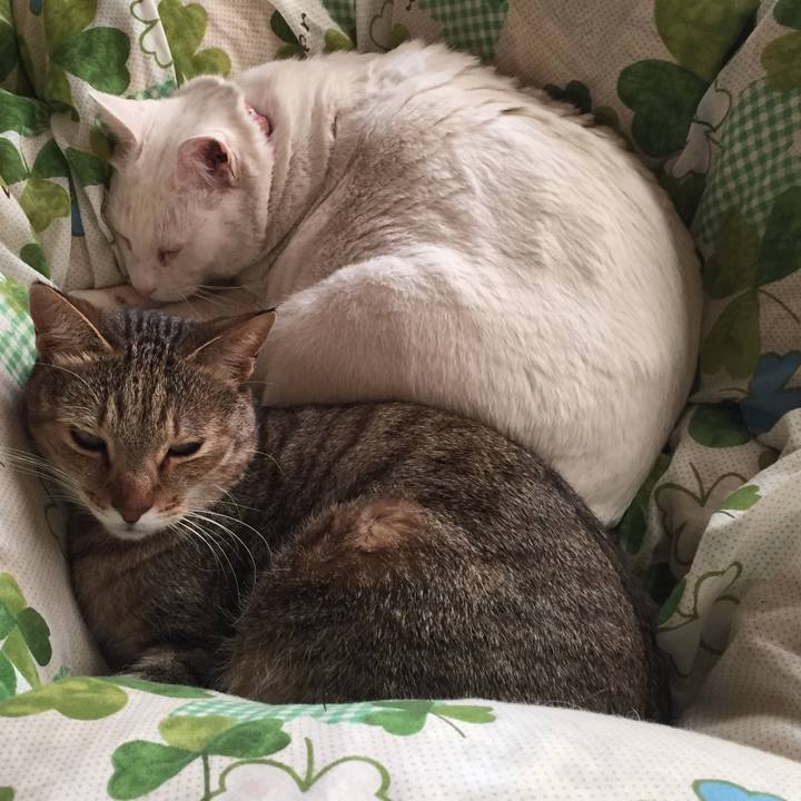 83149ef8 a643 436b b8f3 96dfb94cfb87 1548413345509