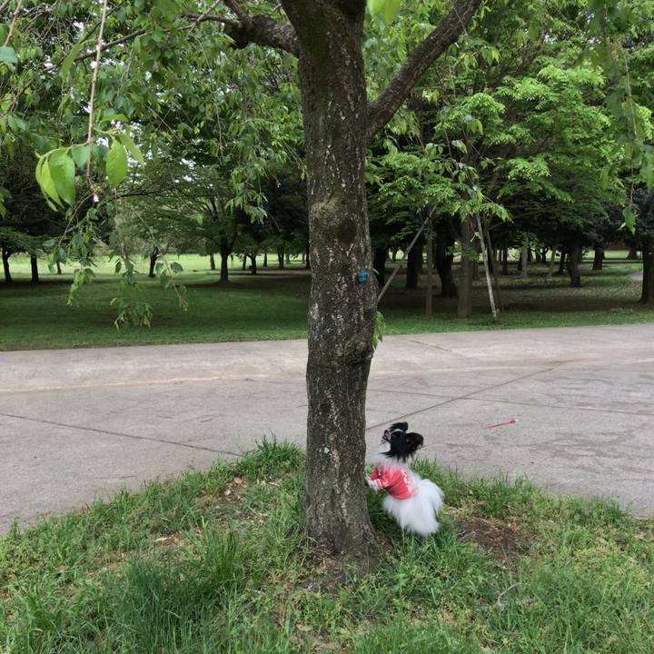 8314c04f a404 46df bde8 cab19934bf2e 1523972830963