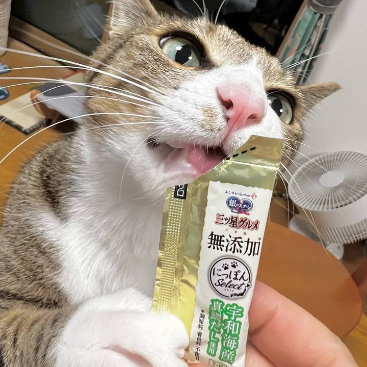 8314dae7 18b8 4cc9 b674 5e54e4e99a68 1752839918475