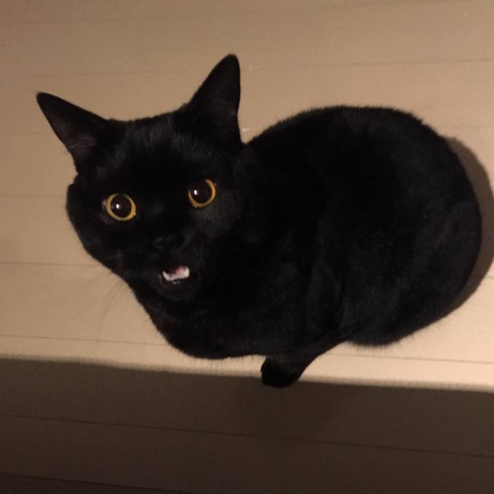 831520a3 6dc4 4f90 9c05 e20917acd0f0 1581775501512