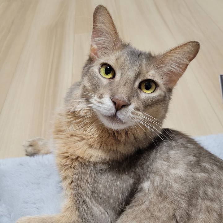 83153ebf bea8 4b0d af27 c18a6bf8bb83 1669086792591