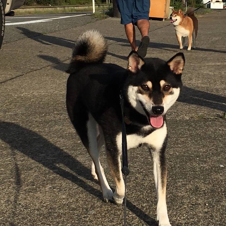 83159304 6fd9 4bdf 9901 4f81cb050dc7 1601256580287