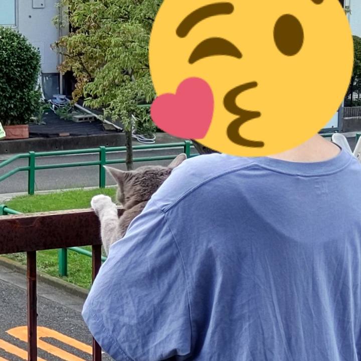 8315c16c ab7f 43c1 95d9 43ff1afd7402 1662852921433