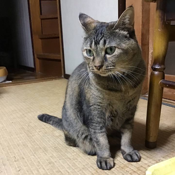 8315f8ec d54f 4351 9786 07715886231a 1759232180494