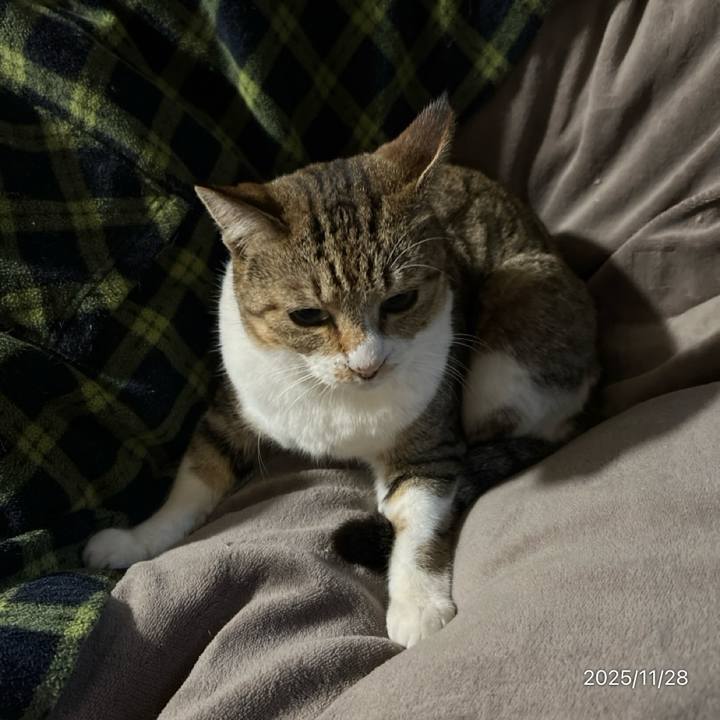 83165bf9 8115 42f0 99a4 7facab0bcebd 1764280812055