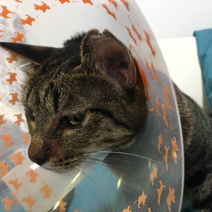 83167129 4dc1 42fb 8843 0637e7c1cb4d 1541651832036