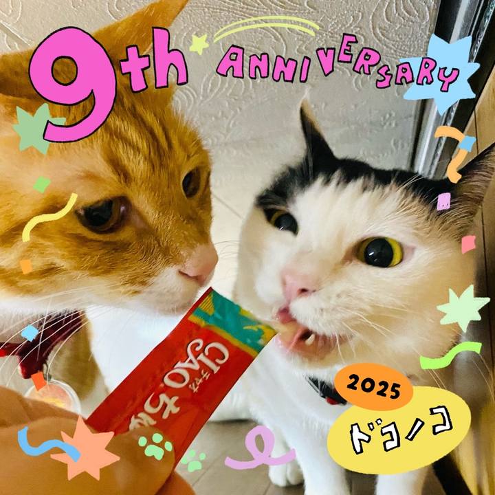 8316c8fa bb4f 4fee b0a8 0804aec12c0d 1749393196888