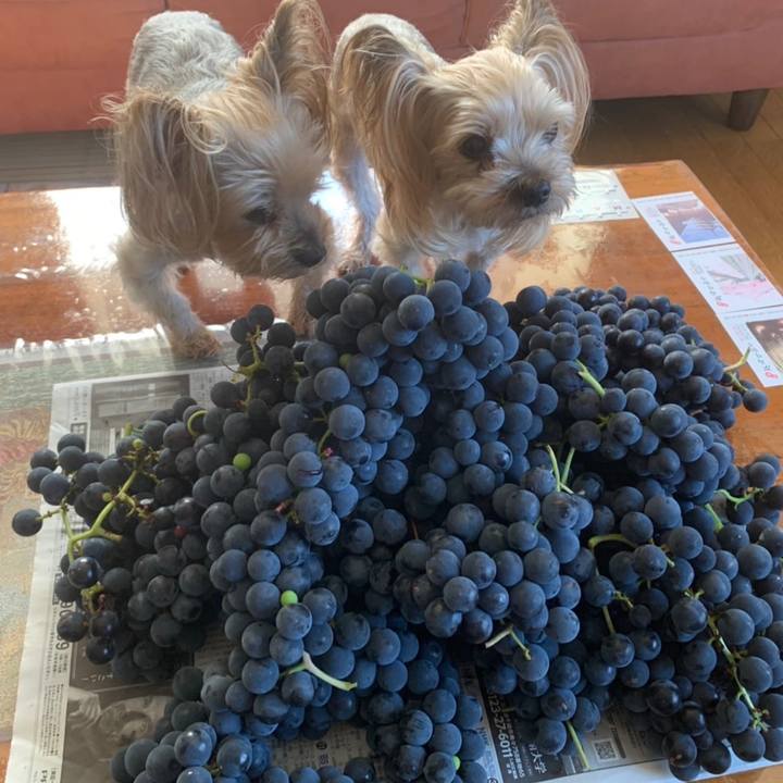 8316fd51 72fa 4e8a b3d0 092887332e0d 1631614057249