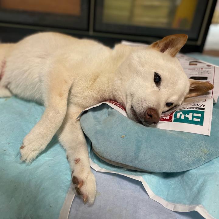 83171baf 9fa7 43c5 927c 5a135f7e21a5 1652593407002