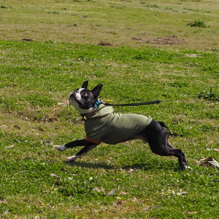 831722fb 41b5 4b5d 9e19 917dd7e14273 1616813474261