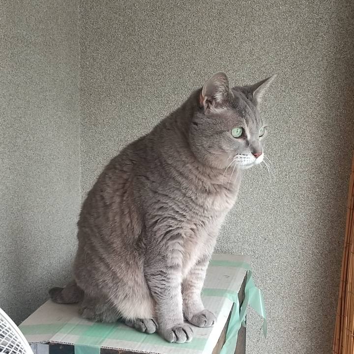 83172dd0 b0f9 4d89 99ae 528c9815507f 1647145685058