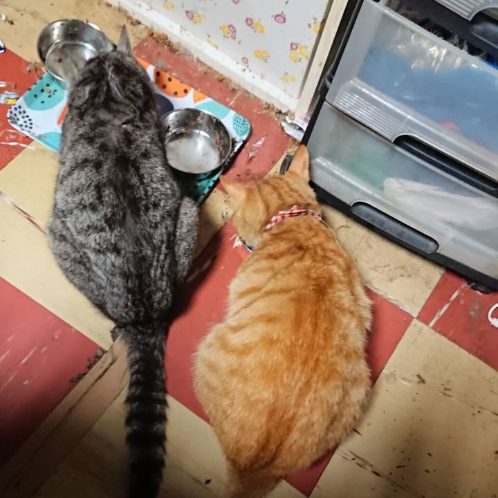 8317371d 5bbc 42ac 98a2 088cb4ae20f2 1561319684602