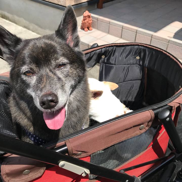 83173c0d a74c 4ac0 beda bb1d6396ffdd 1535289200481