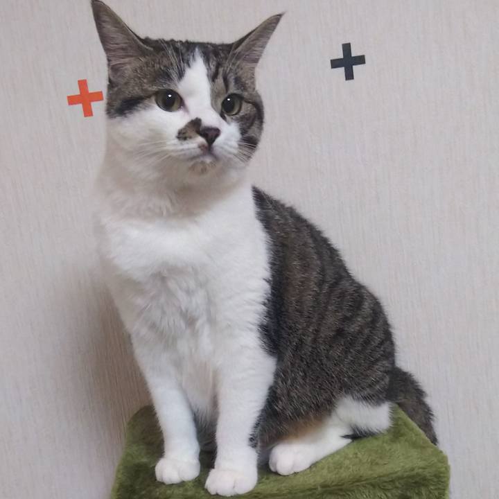 83174bdc f06e 4a94 8210 dbf0d7ae5198 1624360908924