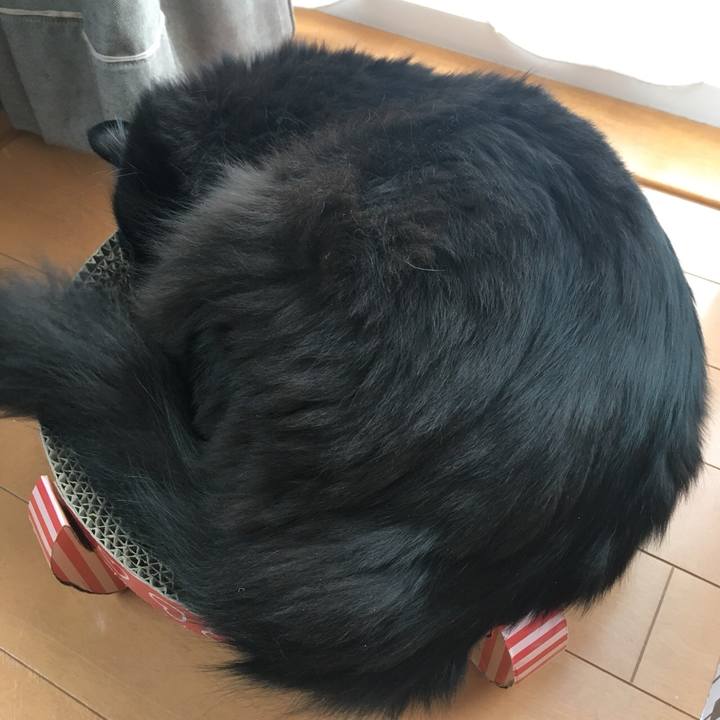 83175417 87b7 4346 96f5 a767a624c372 1557985814880