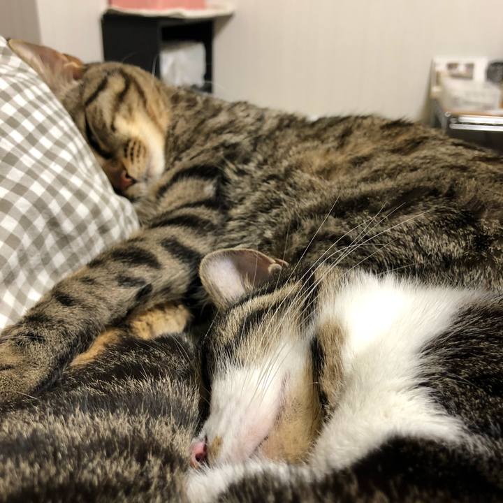 83178066 05c8 4a74 ad1b 452c2064553c 1516546839403