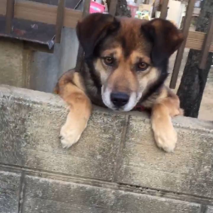 831794ea b785 4ec2 8cae e681ccf2e60c 1611623821278