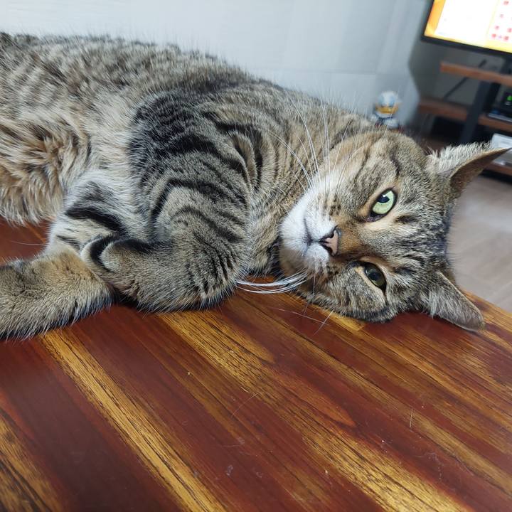 8317d752 2471 4d94 92db 86a0addcbbf0 1629754300521